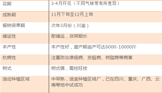 第552页