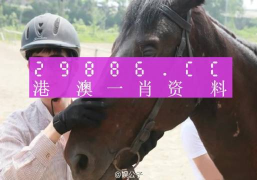 第523页