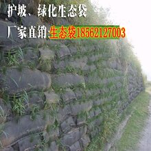 第462页