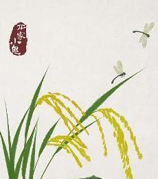 第196页